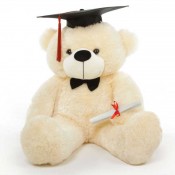 Graduation Teddy Bears (6)