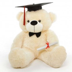 Graduation Teddy Bears