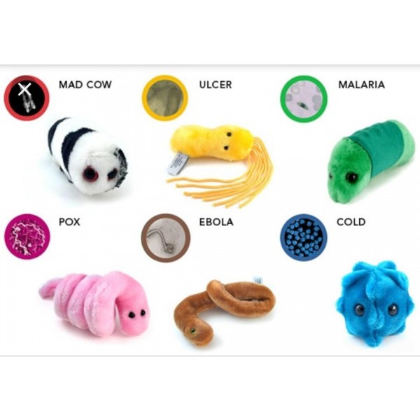 Pack of 6 Microbes soft toy gag gifts for Friends and Scientific Education