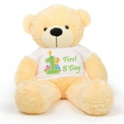 First Birthday Message Teddy Bears (10)