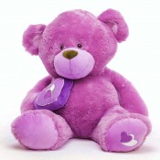 Holding Heart Teddy Bears (8)