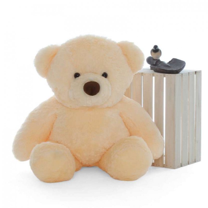 fat teddy bear