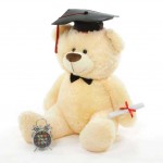 Peach 3.5 Feet Big Teddy Bear with a Graduation Cap and a Scroll