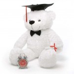 2 feet big white teddy bear with Graduation Cap and a Scroll
