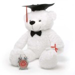 2 feet big white teddy bear with Graduation Cap and a Scroll 2 feet big white teddy bear with Graduation Cap and a Scroll