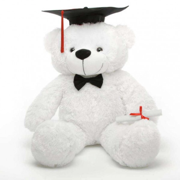 2 feet big white teddy bear with Graduation Cap and a Scroll
