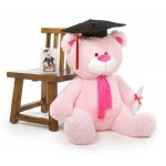 Pink 3.5 Feet Big Muffler Teddy Bear with Graduation Cap and a Scroll