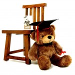Brown 3.5 Feet Big Muffler Teddy Bear with Graduation Cap and a Scroll
