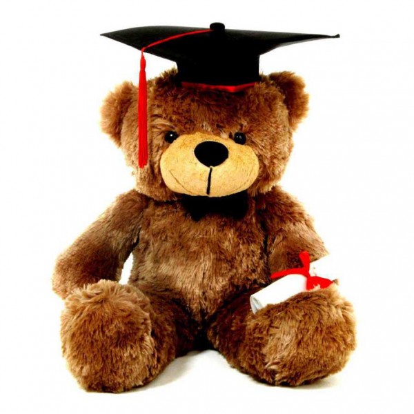 Brown 3.5 Feet Big Muffler Teddy Bear with Graduation Cap and a Scroll