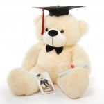 Peach 3 Feet Big Teddy Bear with a Graduation Cap and a Scroll
