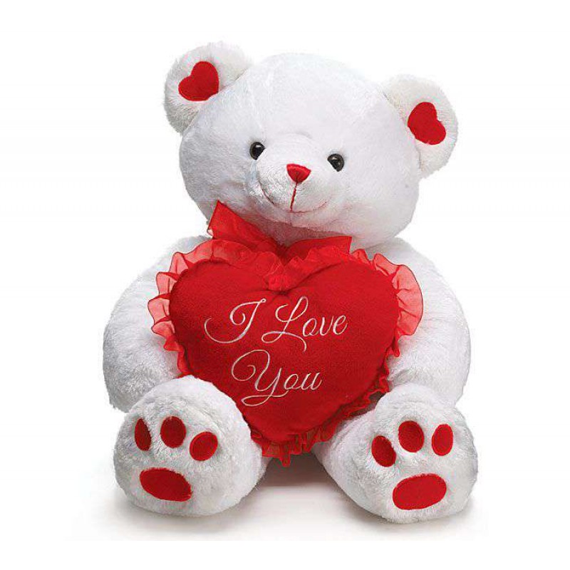red cute teddy bear