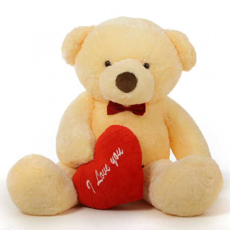 2 feet teddy bear online shopping