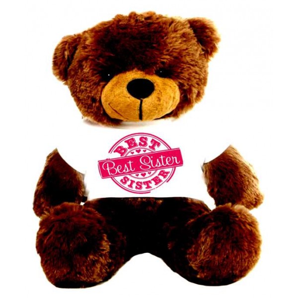 2 feet big brown teddy bear wearing special Best Sister T-shirt