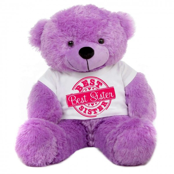 2 feet big purple teddy bear wearing special Best Sister T-shirt