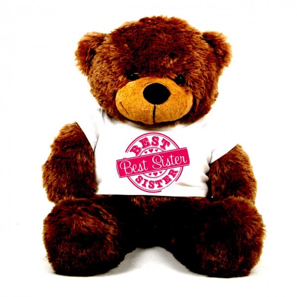 3 feet big brown teddy bear wearing special Best Sister T-shirt