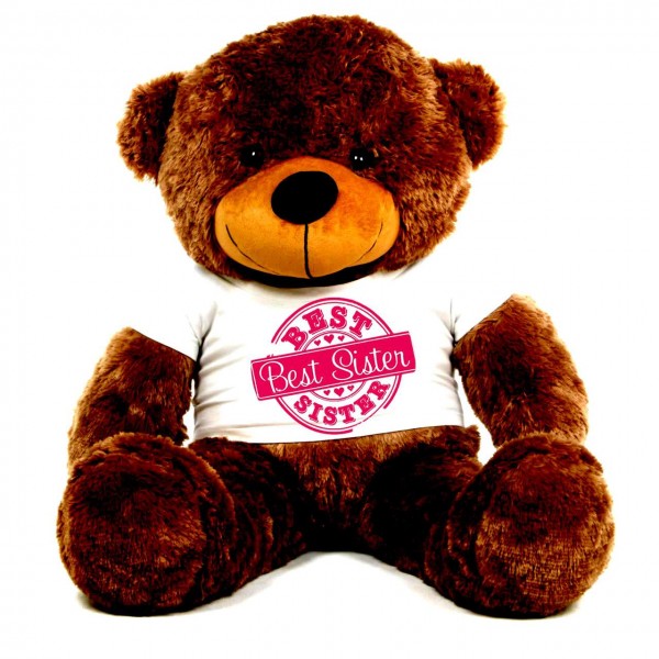 3.5 feet big brown teddy bear wearing special Best Sister T-shirt