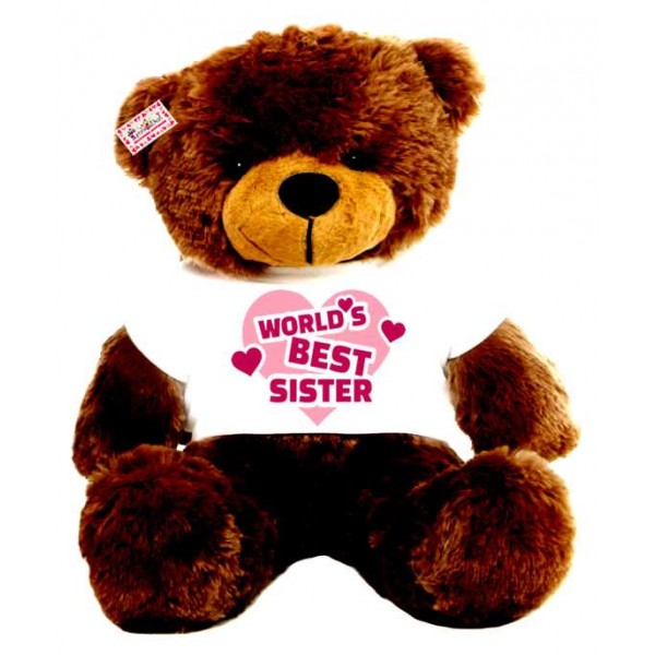 2 feet big brown teddy bear wearing Worlds Best Sister T-shirt