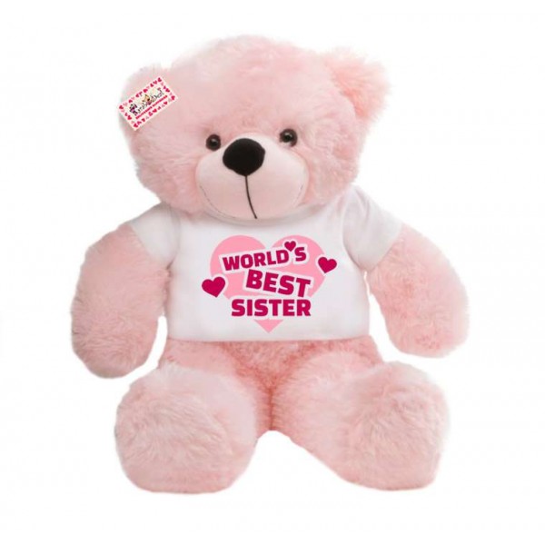 2 feet big pink teddy bear wearing Worlds Best Sister T-shirt