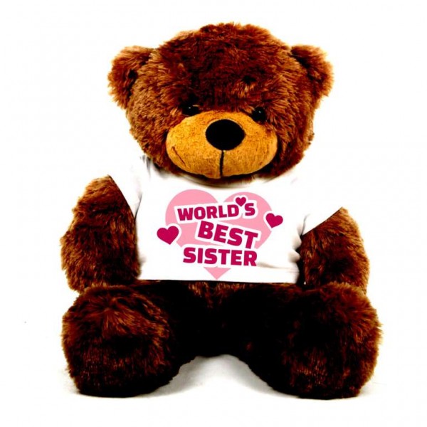 3 feet big brown teddy bear wearing Worlds Best Sister T-shirt