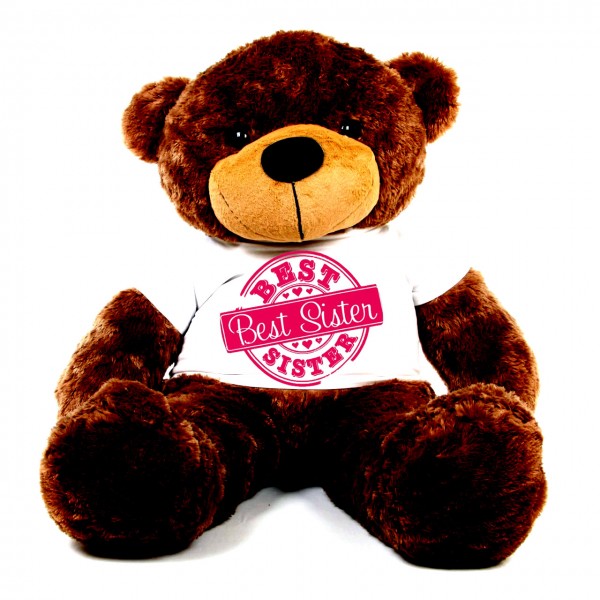 5 feet big brown teddy bear wearing special Best Sister T-shirt
