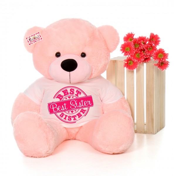 4 feet big pink teddy bear wearing Best Sister T-shirt