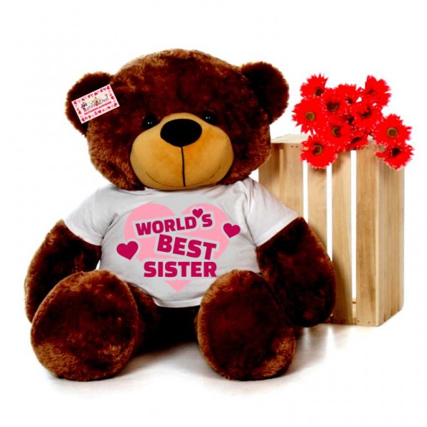 4 feet big brown teddy bear wearing Worlds Best Sister T-shirt