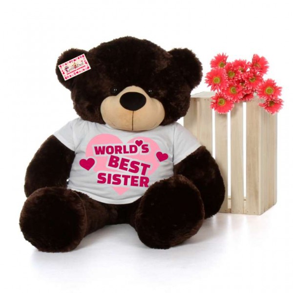 4 feet big chocolate brown teddy bear wearing Worlds Best Sister T-shirt