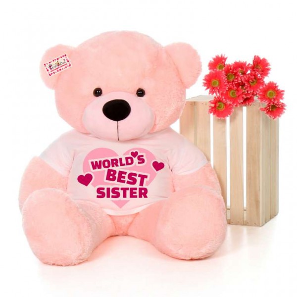 4 feet big pink teddy bear wearing Worlds Best Sister T-shirt