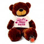 5 feet big brown teddy bear wearing Worlds Best Sister T-shirt