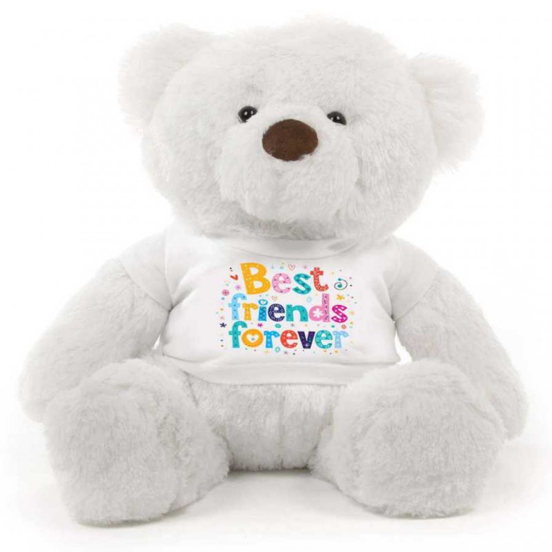 teddy bear best price