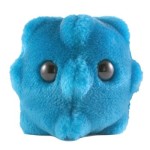 Pack of 6 Microbes soft toy gag gifts for Friends and Scientific Education