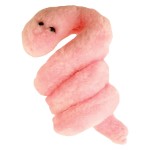 Pack of 6 Microbes soft toy gag gifts for Friends and Scientific Education