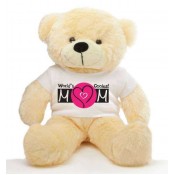 Mom Message Teddy Bears (62)