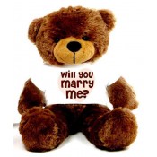 Will You Marry Me Message Teddy Bears (6)