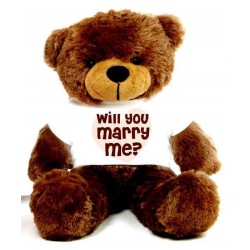 Will You Marry Me Message Teddy Bears