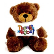 Thank You Message Teddy Bears (0)