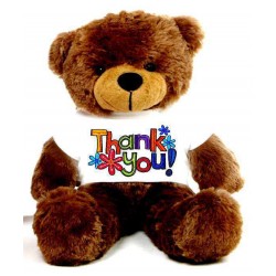 Thank You Message Teddy Bears