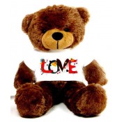 Love Message Teddy Bears (33)