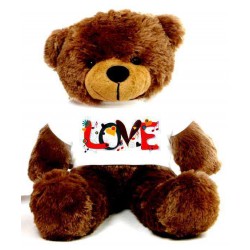 Love Message Teddy Bears