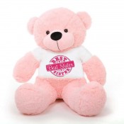 Sister Message Teddy Bears (60)
