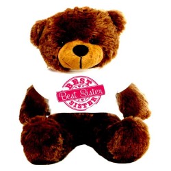 2 feet big brown teddy bear wearing special Best Sister T-shirt