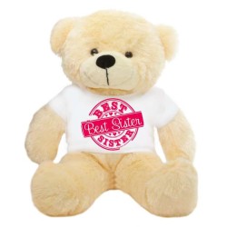 2 feet big peach teddy bear wearing special Best Sister T-shirt