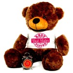 3.5 feet big brown teddy bear wearing special Best Sister T-shirt