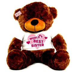 3.5 feet big brown teddy bear wearing Worlds Best Sister T-shirt