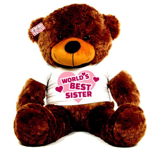 3.5 feet big brown teddy bear wearing Worlds Best Sister T-shirt