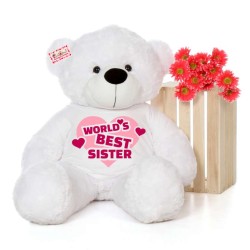 4 feet big white teddy bear wearing Worlds Best Sister T-shirt