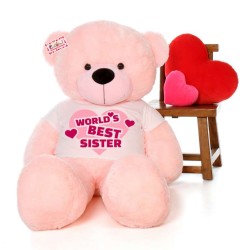 5 feet big pink teddy bear wearing Worlds Best Sister T-shirt